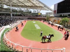 阪神競馬場