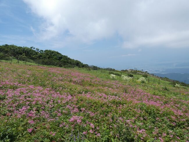 また週末が１日フリーになったため、親族みんなで恒例のおもひで作り。日本百名山に上ったーって自慢しよ！15分で登頂だけど、、(^-^ゞ