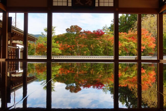 紅葉の11月、織物の日本遺産が多く残る桐生の街を1日観光してきました。その旅行記です。