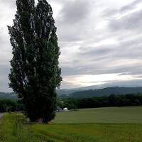 初夏の北海道・ならではの景色を求めて