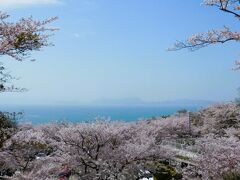 ２０２３年４月　山口県　竜王山の花見とさくらまつり