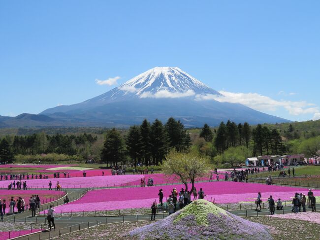 昨年、富士山が見たくて河口湖へ行ったのだけどその時は富士山が見えず…だったので、そのリベンジでコチラへ行ってきましたー！<br />（往復の直行便バスと入場料がセットになったものがあったので、そちらを利用）<br />