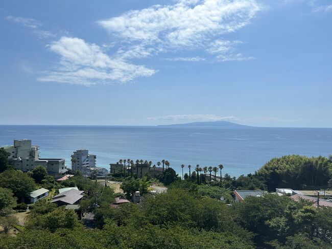 また突発的に宿をとり、熱川温泉に行ってまいりました。猛暑ですから、宿に篭ります。