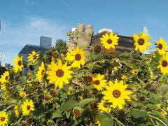 2023年7月横浜中華街 東西南北の門、山下公園 綺麗な夕陽に朝日～横須賀 猿島海風を感じる2泊3日