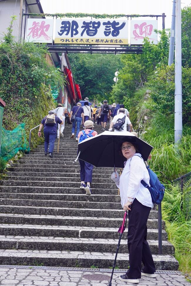 ツアー3日目の午後は再び「那智大滝」方面に戻ります。午前中に参拝した「那智大滝」のさらに奥にある「熊野那智大社」と「青岸渡寺」の参拝に移ります。ここへは25年前にも来たはずなのですが、全くといっていいほど記憶が残っていません。参道を登っていれば記憶も甦るかと思いましたが、あまりの暑さでそれどころではありませんでした。「熊野那智大社」までは延々と石段を登り、登り切ったところに境内が広がっています。「熊野那智大社」は熊野三山の中でも「熊野本宮大社」と「熊野速玉大社」の二社とは異なり、山中の「那智大滝」を神聖視する原始信仰に始まるため、社殿が創建されたのは他の二社よりも後のようです。当初は「那智大滝」の正面にある「飛瀧神社」の地に社殿があったそうです。そのまま社殿が残されていれば、こんな石段を登らなくて済んだのだと思います。ツアーの参加者の年齢層は我々より高いのですが、いつも我々は置いていかれてしまうほど皆さんお元気でした。境内に入りってまずは右手の本殿を参拝します。続いて正面にある五殿を参拝し、護摩木を持って「樟霊社（しょうれいしゃ）」と呼ばれる巨大なクスノキの洞の中を通り抜けます。何か生まれ変わったような気分でしたが、穴のサイズがぎりぎりで通れないのではないだろうかと心配になりました。生まれたときに4,200グラムと大きかったので母からは「新生児室に並んでいる子供の中で二回り大きくて恥ずかしかった。」といわれたことを思い出しました。ここでも護符を購入しようと思ったのですが、「飛龍神社」のものと同じだということで買いませんでした。続いて隣接する「青岸渡寺」に参拝します。ここは横にスライドするだけで上り下りが無くてよかったです。まずは本堂で参拝します。明治時代の神仏習合が廃されると、熊野三山の他の2つ「熊野本宮大社」と「熊野速玉大社」では仏堂は全て廃されましたが「熊野那智大社」では如意輪堂は有名な西国三十三所の第一番札所であったため破却はせずにしておかれました。明治7年の1874年に古くからの信者らによって「熊野那智大社」から天台宗の寺院として独立し、新たに「青岸渡寺」と名付けられて復興しました。寺号は豊臣秀吉が大政所の菩提を弔うために建てた高野山の「青巌寺」に由来するといわれます。参拝の後は境内の展望台から三重塔と「那智大滝」を望みましたが、ようやくこの景色を眺めることが出来たという思いでした。参拝を終えると登ってきた参道を下るミッションが残っています。この下り道も日影はなく蒸し暑さには閉口しました。表参道の下りの石段も終わるころに数頭の鹿の姿を見ることが出来ました。集合場所の「那智山観光センター」では自動販売機で買った飲み物を一気飲みしてバスに乗り込みます。