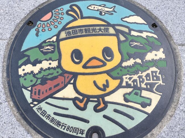 旅行支援のずらし旅、最後は大阪です。<br />2度めのカップヌードルミュージアムと初めてのダスキンミュージアムに、短時間だけど天王寺動物園にも行きました。<br />