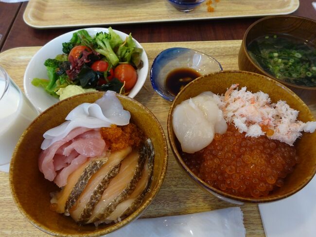 全国旅行支援でお得に旅行を、ということで、札幌に行ってきました。<br />一番のお目当ては、朝食。<br />いくらかけ放題をやっているホテルが増えていて、海鮮丼が食べられて朝食の評判がいい、ベッセルイン札幌中島公園での朝食を楽しみに行ってきました。<br />