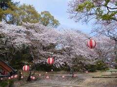 ２０２３年4月　山口県・若山公園で桜を見ました。