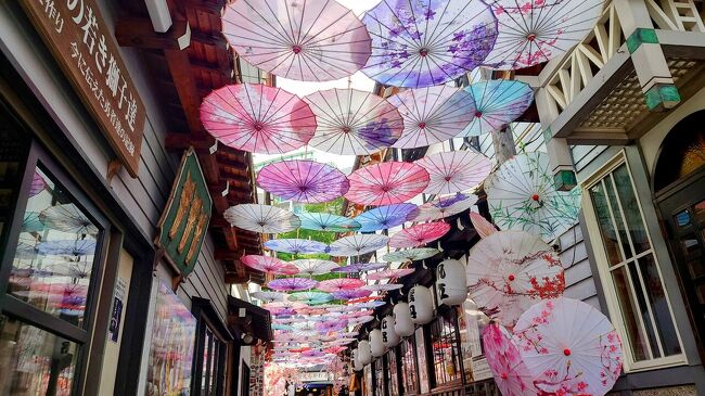 2023年7月　小樽・札幌・北広島旅行①♪小樽で街歩きとグルメ♪夜は札幌でジンギスカン♪