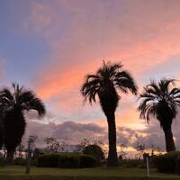 台風予報もすっ飛んじゃったさ、やっぱり８月宮崎最幸でした