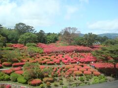 小室山山頂を徒歩で往復。つつじ園は見頃前でも絶景でした。