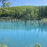 初夏の北海道ドライブ①