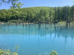 初夏の北海道ドライブ①