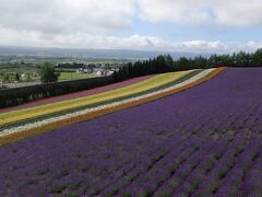 富良野六花山荘とラベンダー