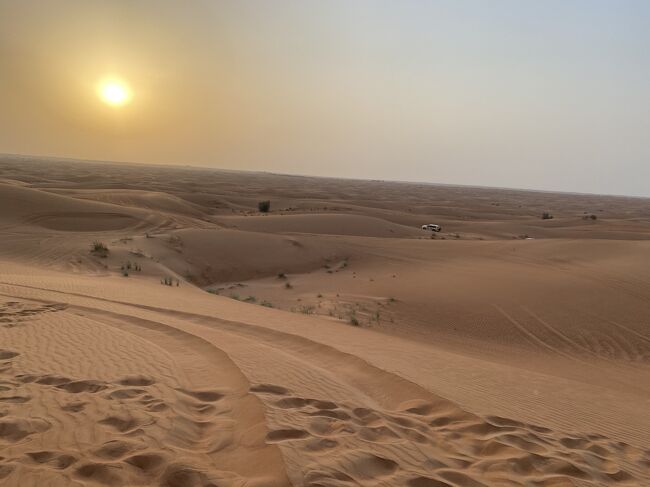 ４年ぶり海外、２日目以降はドバイの見どころを巡りました。<br />最高気温は42℃、最低気温も34℃前後。<br />とにかく外は暑かったです。