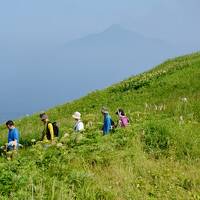 往復ＦＤＡチャーター便利用！　花の最盛期、７月に巡る利尻島・礼文島 ３日間（その３）