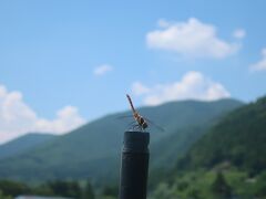 名胡桃城へ行った後で猿ヶ京まで足を延ばして温泉に入って来ましたぁ