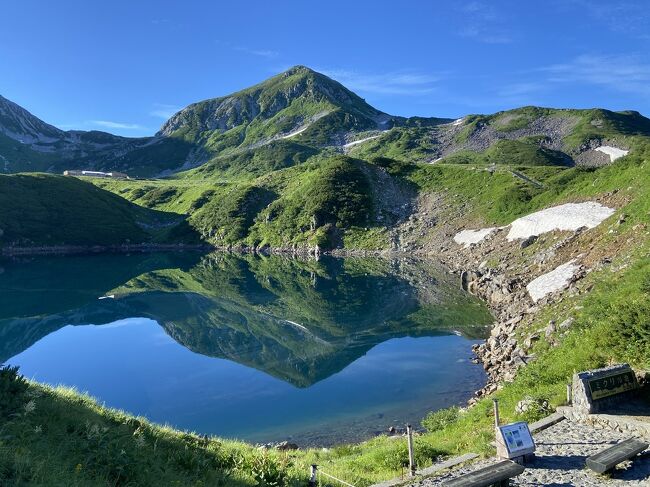 立山(室堂)二泊三日の旅行記、山の景色と花々と掛け流し温泉を楽しみました！