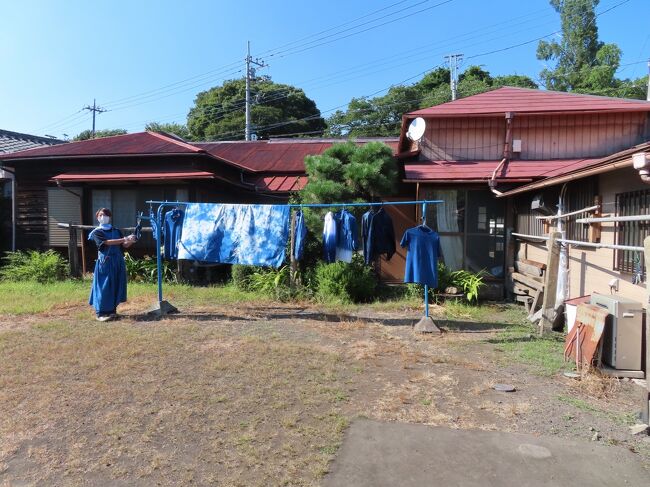 毎日暑さが続く夏。<br />今年は去年以上に暑くて、もう動く気がしません。<br />それでも去年に引き続き、八王子で藍染体験をしたいという話が出て、<br />去年参加できなかった人も加えて、<br />行ってきました。<br /><br />八王子駅前のビルの上の温度計は行きがけ３７℃を超えていました。<br />夕方でもまだ３６℃でした。<br /><br />なんでこんなに暑いの～<br /><br />（一部の写真は2022年7月24日のものです）