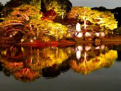 【東京良爺散歩　Tokyo Easy Sampo　晩秋の文京区】今年最後の紅葉狩りは夜の日本庭園で　の巻