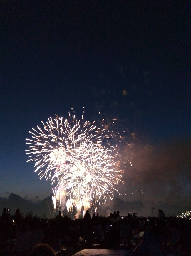 コロナ過で滞っていた花火大会が4年ぶりに開催されました。14000発でした。<br />江戸川を挟んで江戸川区側900,000人、市川市側500,000人だそうです。どうやって数えるんでしょうか？<br /><br />板橋会場ではナイヤガラの火花が枯草に燃え移って火事になり中止になったそうです。