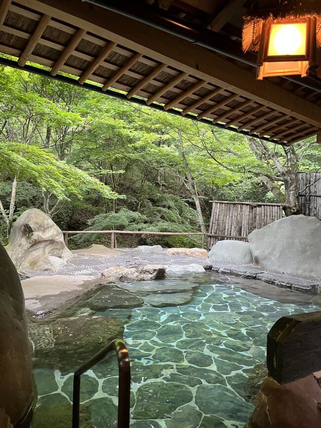 群馬県中之条町にあるたんげ温泉の一軒宿『美郷館』で6種の温泉と地元で採れる食材を活かしたお料理を満喫してきました。<br /><br />http://www.misatokan.com/spa/spa.html