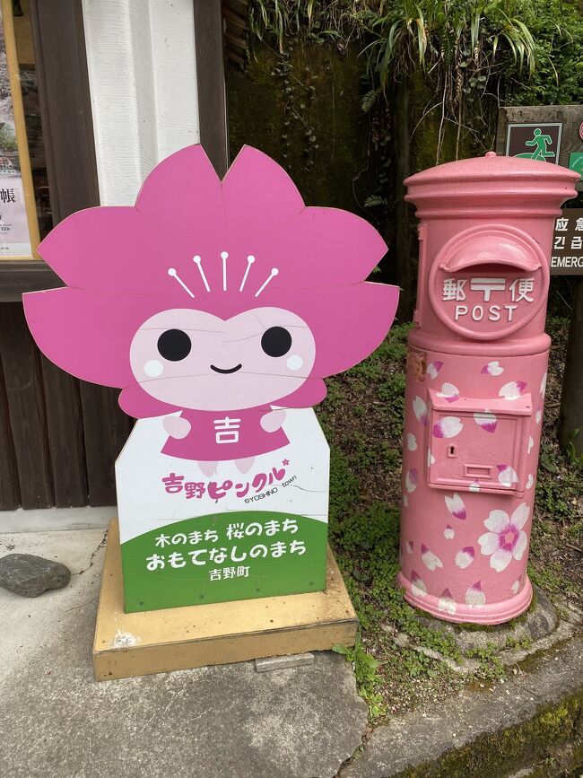 今年も花のシーズンが早まりましたね(察して)