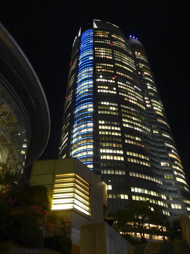 2023年8月孫と二人で猛暑の東京へ・１日目～六本木ヒルズスカイ展望デッキからの夜景(*^o^*)