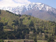 砺波のチューリップフェアと大雨で断念の雪の大谷への旅（白川郷・荘川桜・ひるがの植物園）