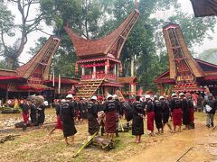 インドネシアの秘境タナトラジャへの旅【4】死ぬために生きる人々、トラジャ族の葬儀に潜入！