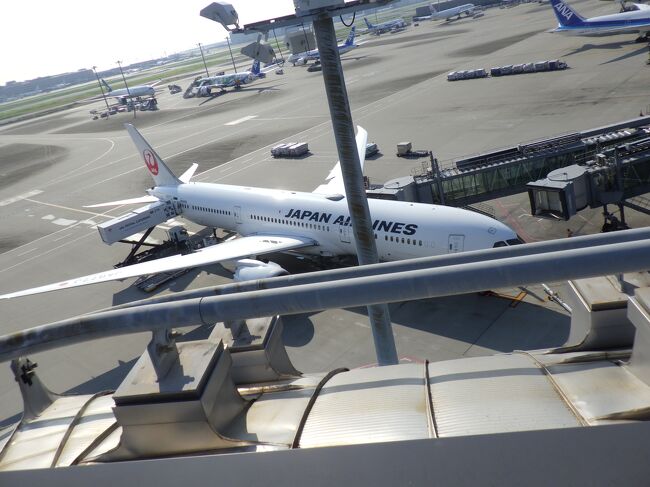 前月６月の羽田空港散策が消化不良に終わってしまったので、今回７月の旅行の際に早めに羽田空港散策をリベンジしてきました。<br />今回は、今まで行ったことがなかった第三旅客ターミナルまで足を延ばしてみました。