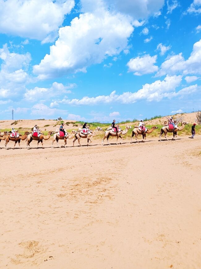 夏草や兵どもが夢の跡、とは芭蕉が詠んだ俳句であるが、戦闘騎馬遊牧民族であるモンゴル族が暮らす内モンゴル自治区の夏草は素晴らしい。最終日の今日は草原から離れて砂漠の景色を見たいと思い現地ツアーで神泉生態公園に行きグプチ砂漠とやらの一部を見に行った。
