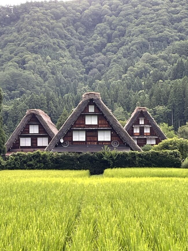 今回の北陸女子旅は綿密な計画が必要でした。<br />計画のポイントは<br />１　べるもんたに乗りたい！<br />２　船でしか行けない秘湯の大牧温泉に泊まりたい！<br />３　世界遺産の白川郷内に泊まりたい！<br />の３つです。<br />べるもんたに乗車し大牧温泉に宿泊もできました。<br />次は世界遺産白川郷にお泊りです。<br />世界遺産の中に泊まれるなんてすごいよね～。<br />日帰りのお客さんがいない世界遺産内を独り占めしてきました。