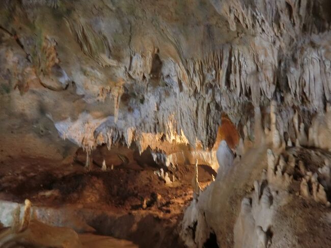 きれいな海が見たかった。石垣島４島めぐり。石垣編①