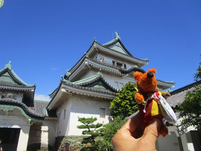 大阪城を皮切りに、住吉大社、新世界、道頓堀を見て、高野山、和歌山城、福知山城、城崎温泉、竹田城、近江八幡と関西周遊企画。<br />本日は、和歌山城