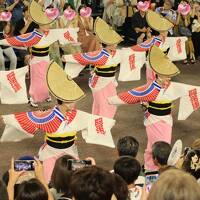 阿波踊り、讃岐うどん、道後温泉を巡る旅　①ヤットサー、ヤットヤット～徳島編～