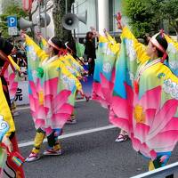 台風の合間に、高知 よさこい→徳島 阿波踊り 巡り旅（よさこい編）