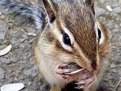 海の幸を食べに、夏の小樽へ