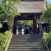 神代植物園と深大寺蕎麦を楽しみました。