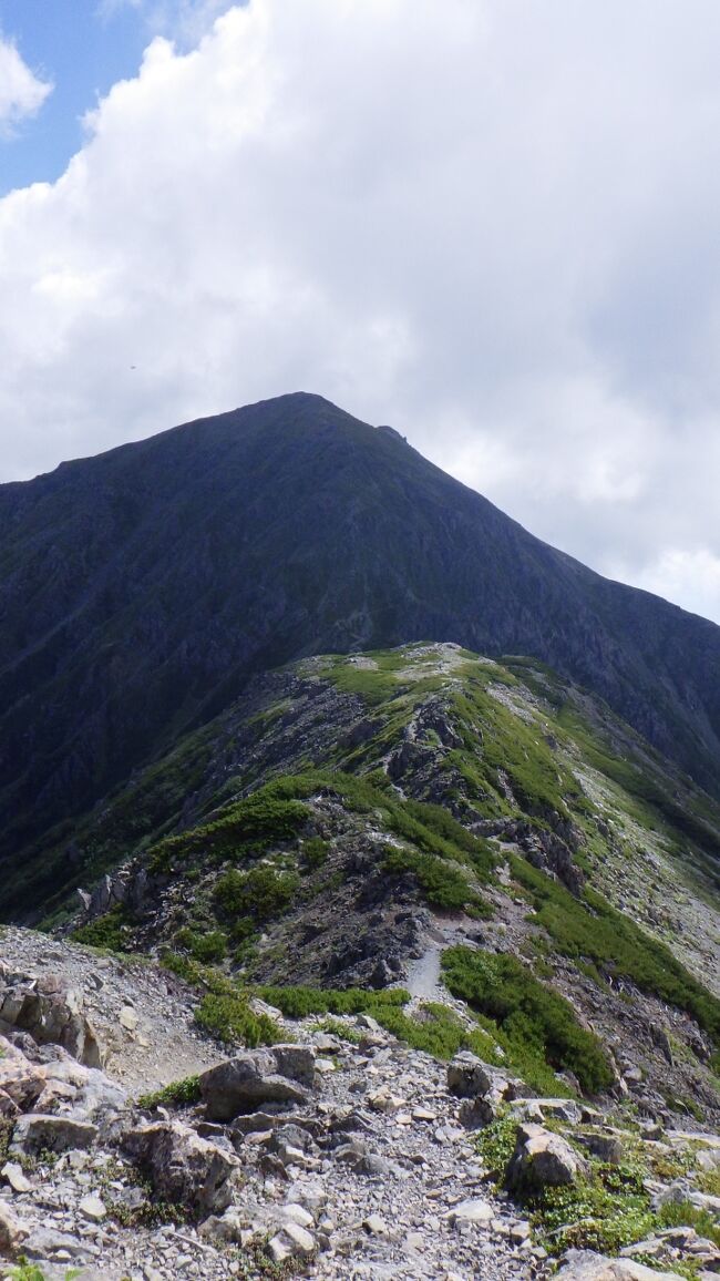 日本百名山＜悪沢岳（荒川東岳）＞南アルプス縦走・ソロ登山