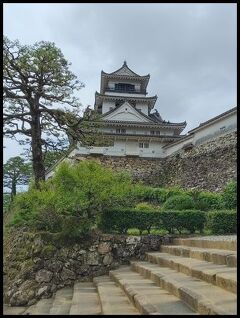 初 高知にぞっ婚、高知旅行。３日目