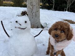 高野山で雪遊び