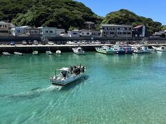 2023夏キャンプ(38)高知県スノーピーク土佐清水☆くうちゃん17回目