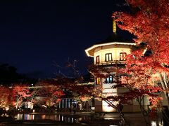 円通院と瑞巌寺のライトアップ