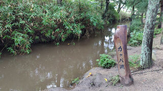 2023夏休み　～浄土ヶ浜・釜石・遠野～