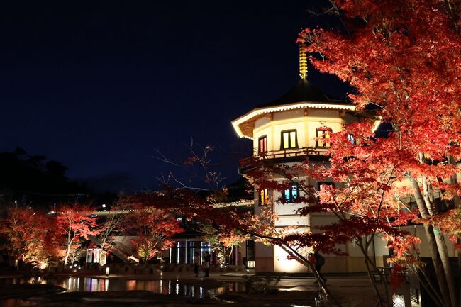 松島へ行き円通院と瑞巌寺のライトアップと松島離宮でプロジェクトマッピングを見ました。<br />