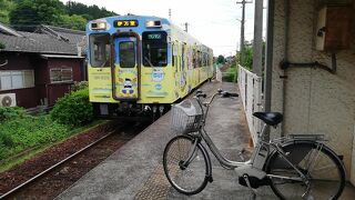 たまにはベタなサイクリング2306　「松浦鉄道サイクルトレインで、伊万里の街とカブトガニを見学しました。」　～伊万里・佐賀～