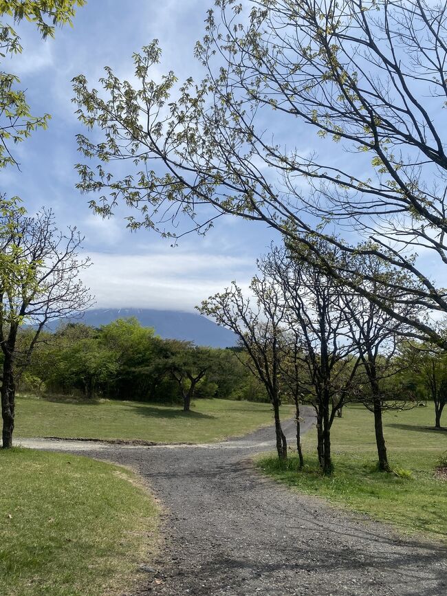 最近は、専らディキャンプばかりです。<br />恒例化してきている兄家とのBBQ。<br />今回は富士山の麓で行って来ました☆