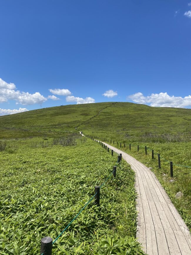 母と兄家族と3世代で今年も夏の旅行へやって参りました。<br />子供達も大きくなり、いつまで付き合ってくれるかな？