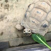 日本巡り最終は岐阜県！舐めてた最高の淡水水族館